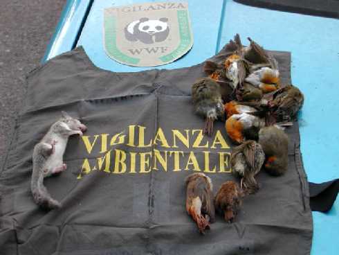 Oltre 300 reati ambientali in Toscana nel 2011. Bracconaggio e illeciti venatori tra le violazioni contestate