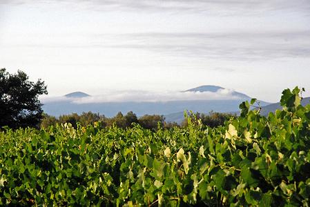 La Maremma del vino e del cibo si mette in vetrina