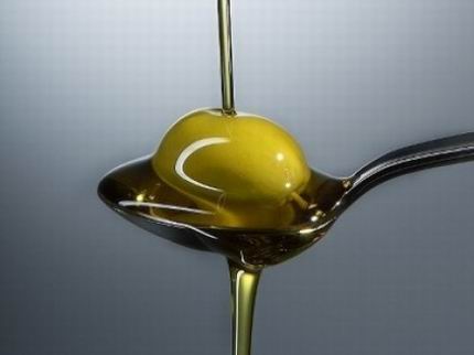 Dall’olio alla tavola, al via il corso di conoscenza dell’extravergine di qualità