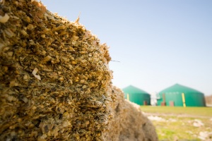 Buonconvento si dà appuntamento a Piana, una domenica per dire “no” al biogas