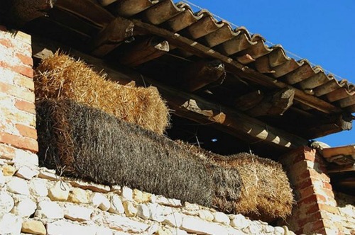 Imu rurale, Asciano in soccorso degli agricoltori. Aliquota tagliata dello 0,5
