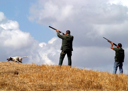 Si caccia. Toscana, stagione venatoria al via dal primo settembre