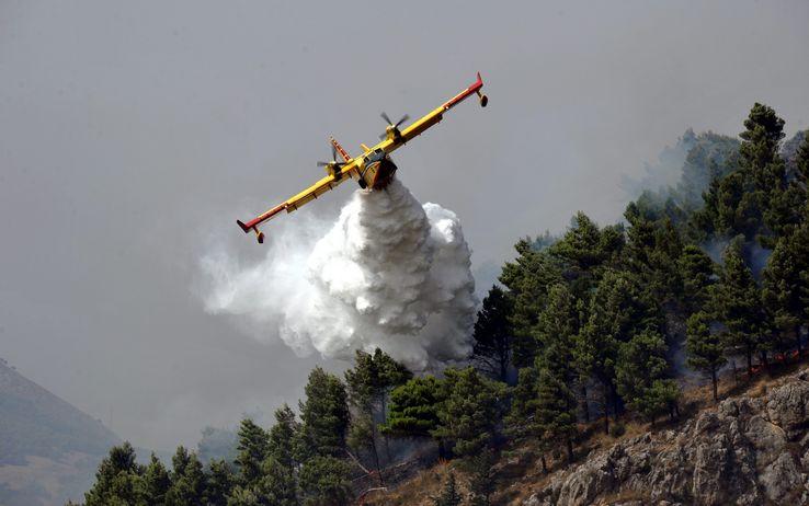 Incendi boschivi, il decalogo per evitarli