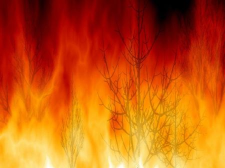 Pericolo incendi, a Siena prorogato al 30 settembre periodo di masimo rischio