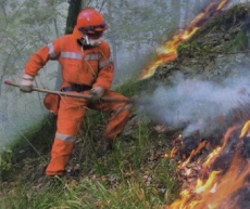Alle pendici del Pratomagno 12 ettari di bosco bruciati. Intossicato un cinquantenne