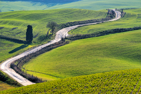 Il caso’ Castiglion del Bosco’ e la miopia dell’ambientalismo ideologico. La vera sfida per le aree rurali è quella del ‘ritorno’