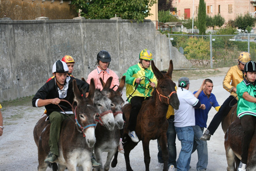 E’ il weekend del Palio dei ciuchi, benedizione dei fantini e corteo storico aspettando la corsa
