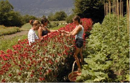In Toscana nasce l’Agricatering, in tavola solo prodotti locali cucinati da Donne in Campo