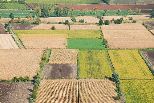 Dalla questione fiscale all’applicazione della PAC: la Cia Toscana presenta un decalogo con le urgenze per l’agricoltura