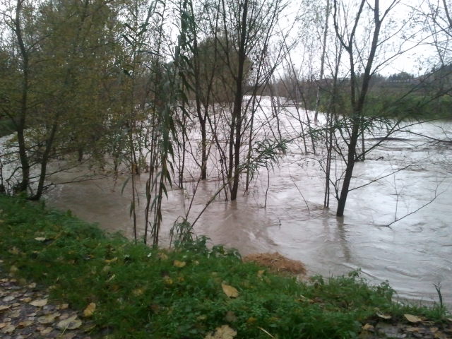 La piena del fiume Ombrone nel comune di Buonconvento