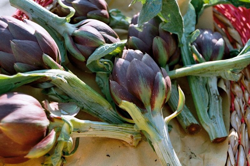 E’ festa del carciofo, tre giorni di gusto nel cuore delle Crete Senesi