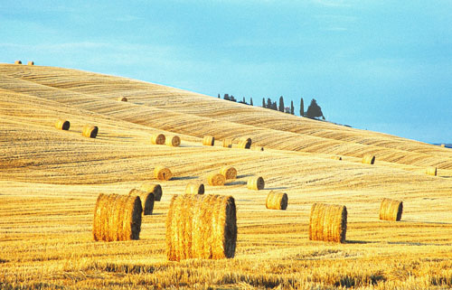 Dalla terra alla tavola alla scoperta del “Sapore di Val d’Orcia”