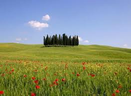 Giocalavaldorcia, a San Quirico 63 caselle alla scoperta del patrimonio Unesco