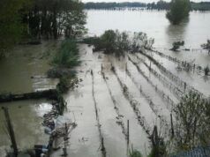 Maltempo, 37 eventi estremi in estate: qualità delle colture a rischio