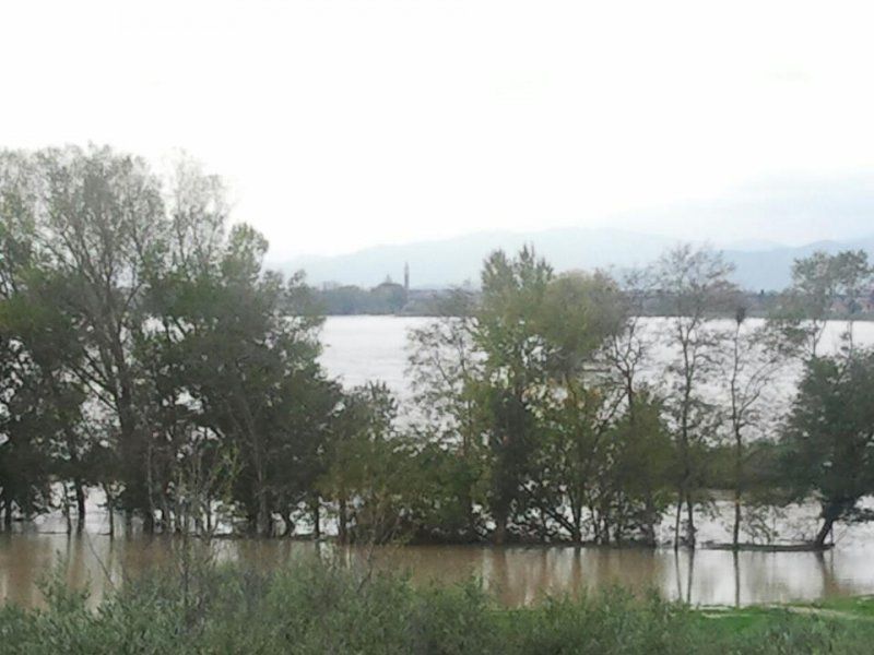 Un fiume per due popoli, la furia dell’Ombrone unisce Siena e Grosseto nella paura