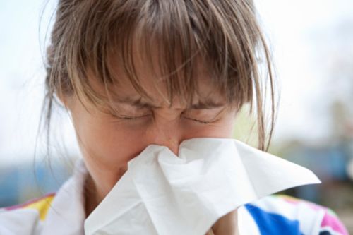 Rinite allergica, visite gratuite al Policlinico di Siena