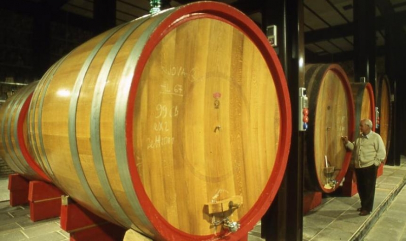 V(ino) per Vendetta. Arrestato ex dipendente per l’atto vandalico contro il Brunello a Montalcino