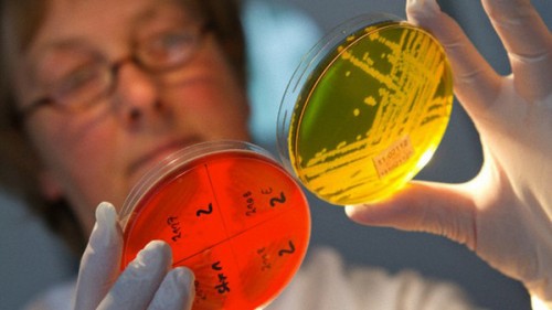 Nuovo farmaco contro la sindrome di Rett, a Siena sperimentazione unica al mondo