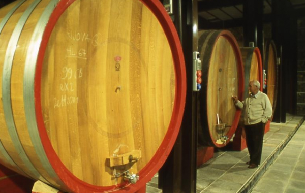 Atto vandalico contro il Brunello. Novità nelle indagini, probabile vendetta di un ex dipendente