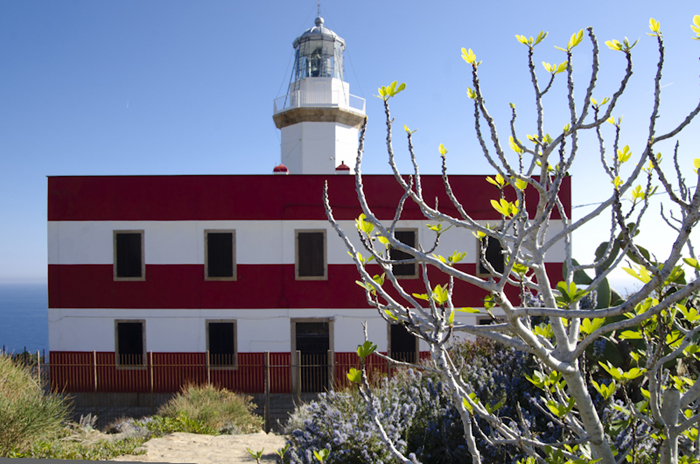 Al Giglio va in pensione l’ultimo guardiano del faro ma non si spegne la luce di speranza per un porto sicuro