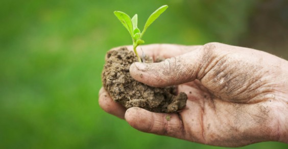 Patto per l’agricoltura. Accordo ChiantiBanca-Fidi Toscana  per il sostegno del settore