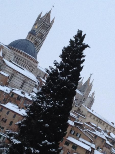 duomo_siena.jpg