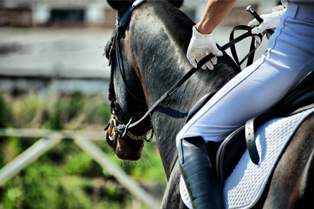 In Italia arriva il tecnico equestre, dalla Toscana la nuova figura professionale