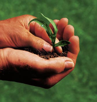 Agricoltura biologica, nelle Terre di Siena un nuovo modello di sviluppo