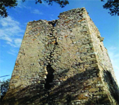 Torre di Montalceto, una Fondazione per la valorizzazione