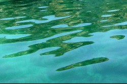 Sversamento in mare ma è una simulazione per il tracciamento degli idrocarburi