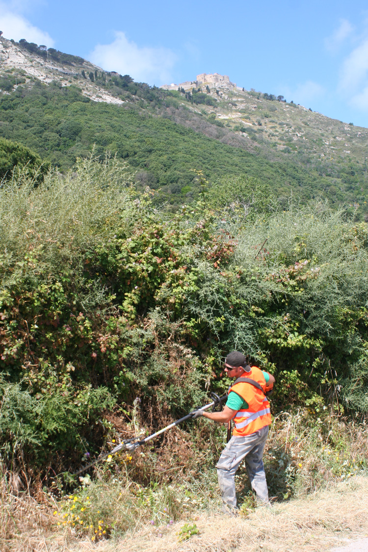 Giglio, al via lo sfalcio della vegetazione lungo le strade in vista dell’estate