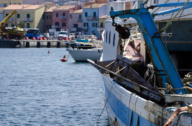 Tempo di Sagra del Totano a Campese e l’Isola del Giglio slow si racconta nel piatto