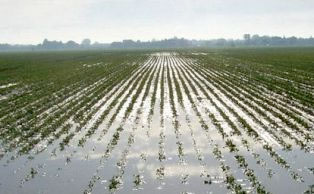 Primavera 2013 fredda e piovosa, in ginocchio l’agricoltura toscana
