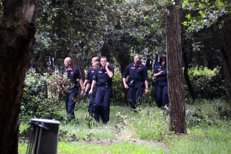 Viareggio, i Carabinieri irrompono in pineta. Sette giovani extracomunitari in manette per spaccio di droga