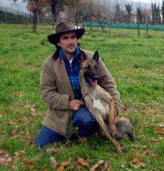 Bimbo ucciso dai cani a Siena, «Possibile attacco per la difesa del territorio»