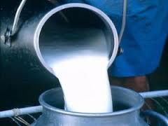 Crisi latte. Servono interventi urgenti, a rischio 50 milioni di litri