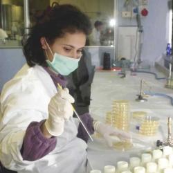 Ricerca, sintetizzate nuove molecole contro tumori a colon, pancreas e vescica