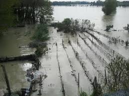 Danni post alluvione, per le imprese toscane in arrivo 1 milione di euro. Risorse disponibili già ad agosto