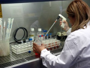 Telethon investe nella ricerca scientifica in Toscana, 5 laboratori ricevono finanziamenti