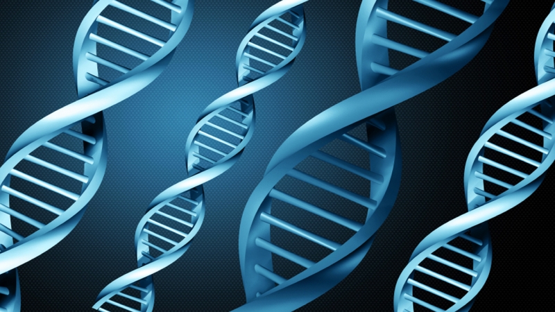 Terapie ‘ad hoc’ in psichiatria grazie al test del Dna
