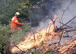 Prevenzione incendi, Lucca intensifica i controlli