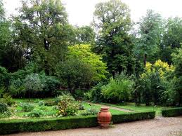 Si stacca grosso ramo, chiude per lavori urgenti orto botanico di Firenze