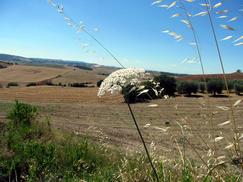 alvento_1.jpg