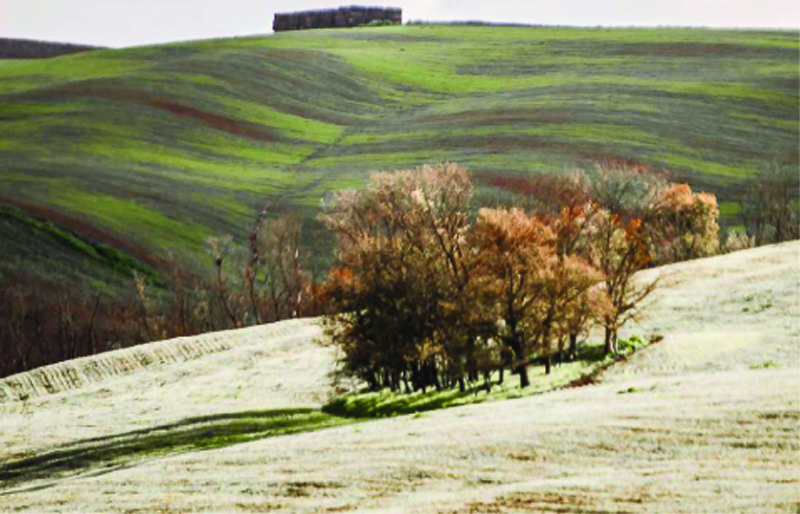 attesadellaprimavera.jpg