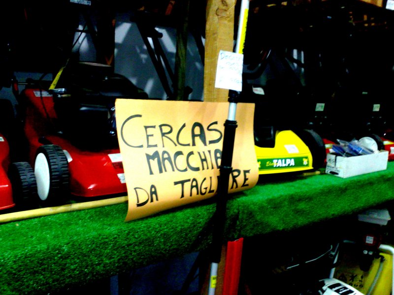 cerco.jpg