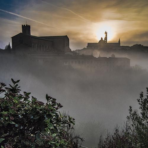Sulle orme del laicato. Passeggiate d’autore a Siena alla riscoperta delle confraternite della città