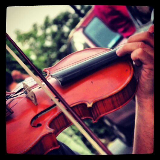 sviolinata.jpg