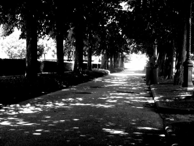 viale.jpg