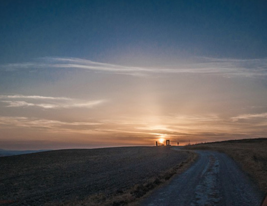 viale_tramonto.jpg