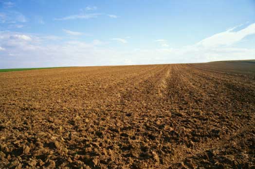 L’agricoltura senese in tv. Ogni settimana l’Agritg in onda su Rtv38, SienaTv, Canale 3 e agricultura.it